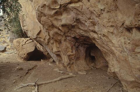 Open original Digital object