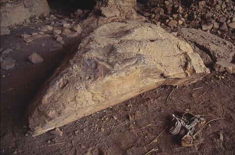 Open original Digital object