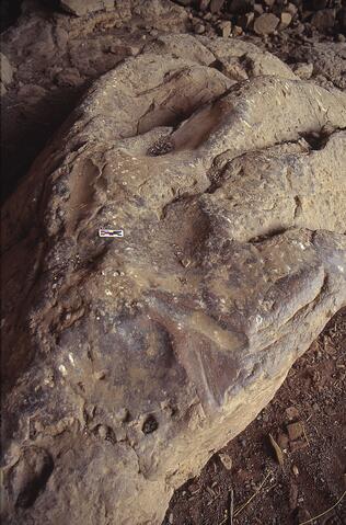 Open original Digitaal object