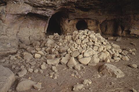 Open original Digital object