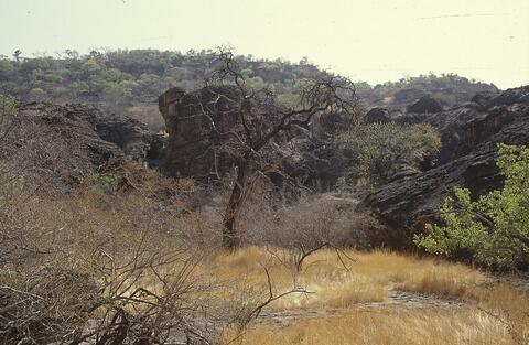 Open original Digital object