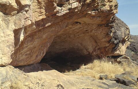 Open original Digital object