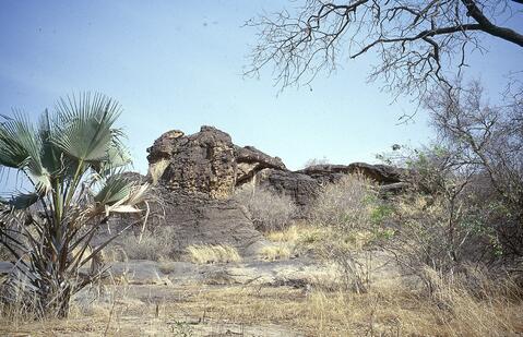 Open original Digital object