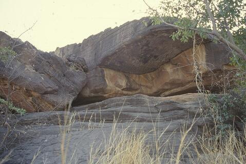 Open original Digital object