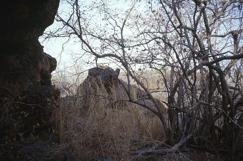 Open original Digital object