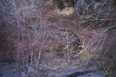 Open original Digital object