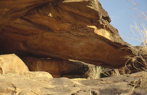 Open original Digital object