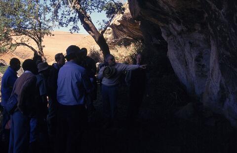 Open original Digital object