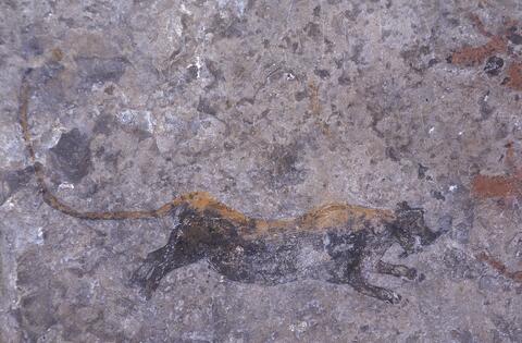 Open original Digitaal object