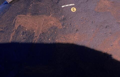 Open original Digital object