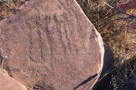 Open original Digital object