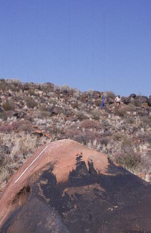 Open original Digital object