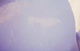 JDC RSA SPN1 128