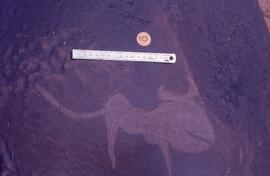 JDC RSA SPN1 109