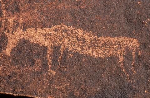 Open original Digital object