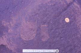 JDC RSA SPN1 107