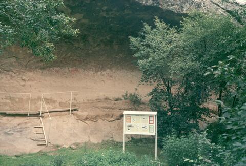 Open original Digital object