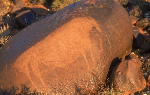 Open original Digital object