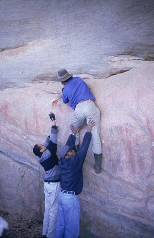 Open original Digital object