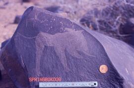 JDC RSA SPN1 117