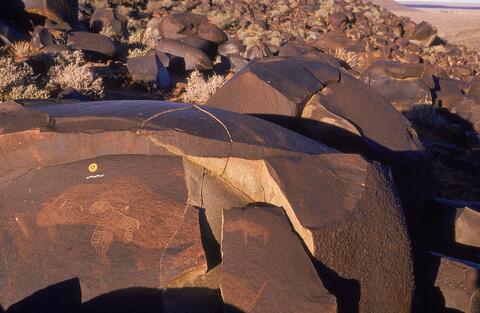 Open original Digital object