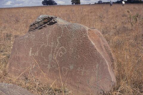 Open original Digital object