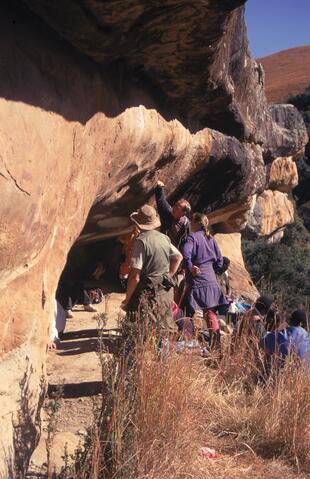 Open original Digital object