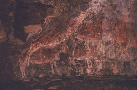 Open original Digital object