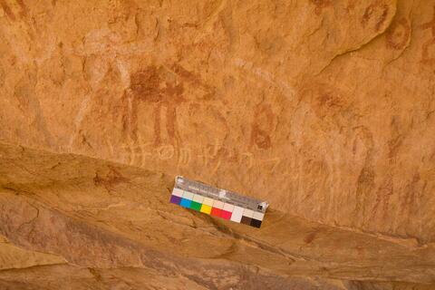 Open original Digital object