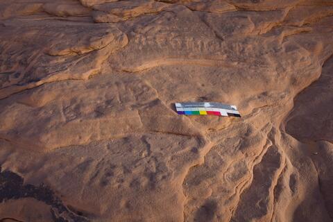 Open original Digital object