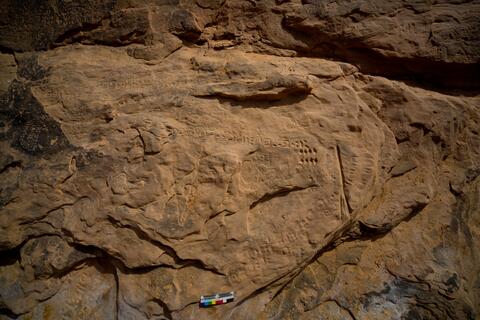 Open original Digital object