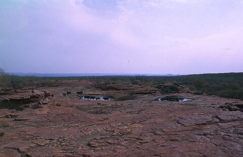 Open original Digital object