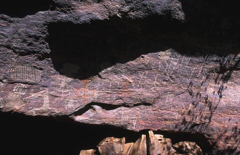 Open original Digital object