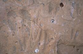 RARI EEC RSA TIG13 26