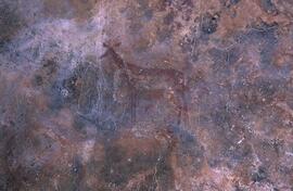 RARI EEC RSA LIT2 46