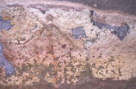 RARI EEC RSA LNG31 2