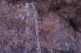 RARI EEC RSA LIT2 26