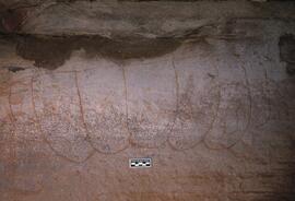 RARI EEC RSA MIS20 1