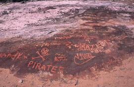 RARI EEC RSA TIG13 8