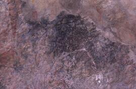 RARI EEC RSA LIT2 44