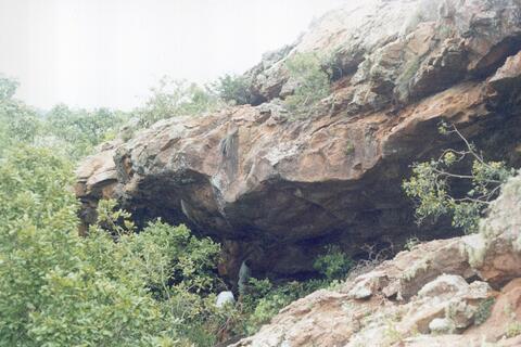 Open original Digital object