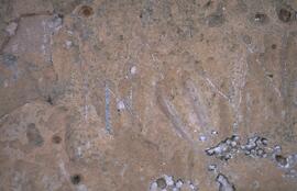 RARI EEC RSA TIG13 34