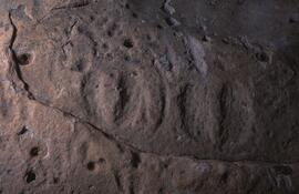 RARI EEC RSA TIG13 29