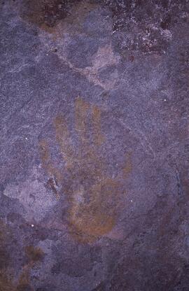 RARI EEC RSA POT1 13