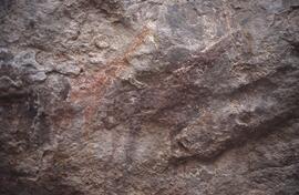 RARI EEC RSA LIT2 15