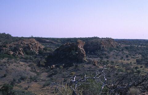 Open original Digital object