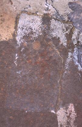 RARI EEC RSA LNG31 4