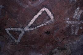 RARI EEC RSA AIN1 45