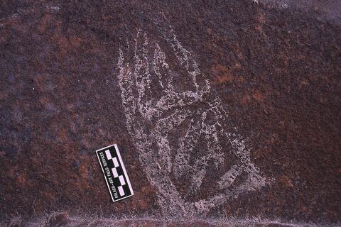 Open original Digital object