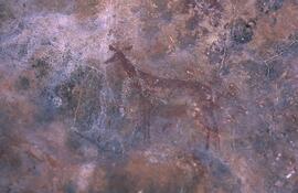 RARI EEC RSA LIT2 47